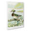 Male Wood Duck by J.L. Ridgway - Wrapped Canvas-55362268