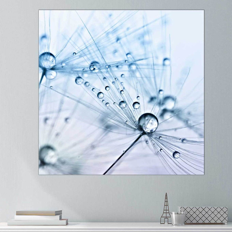 « pissenlit sparkle », reproduction de photo sur toile tendue, H 18" x l 18" x P 1"