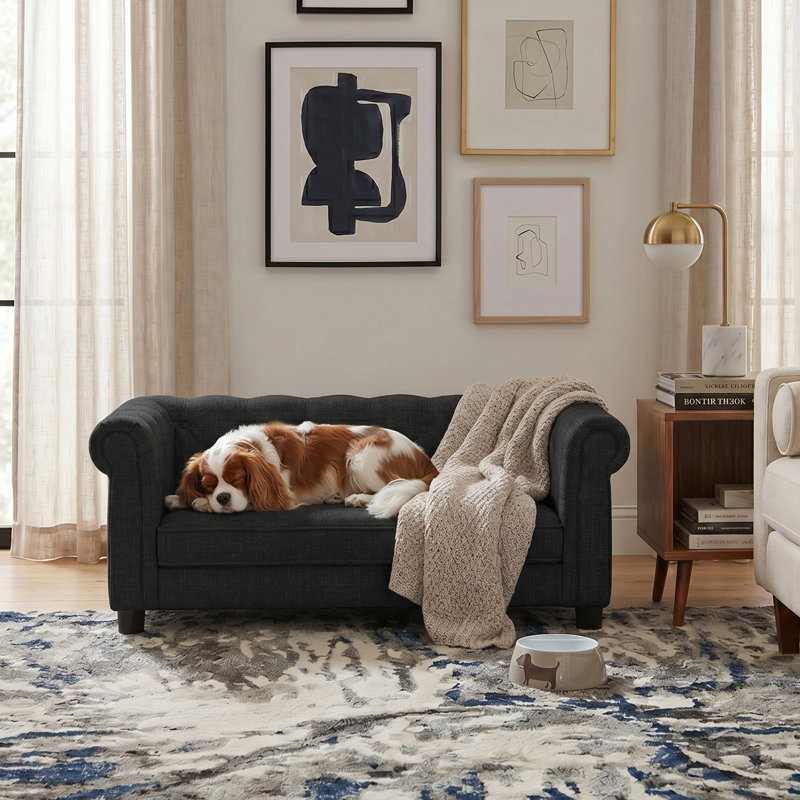 Lit pour chien Malcolm Elegant Rectangle, Noir