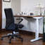 Standing Desk-291611454-291611429-291611428