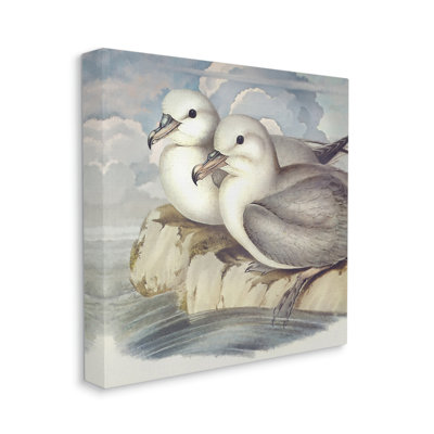 «Seagull Couple Perché Coastal Water Resting Birds» par Steve Hunziker - Peinture sur toile
