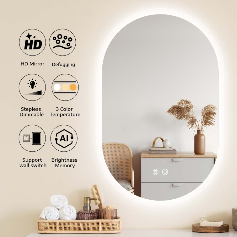 Ivy Bronx 24 in. W x 36 in. H Oval Frameless LED Light Bathroom Vanity  Mirror & Reviews