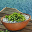 Delano Planter-1196885423-1114089402
