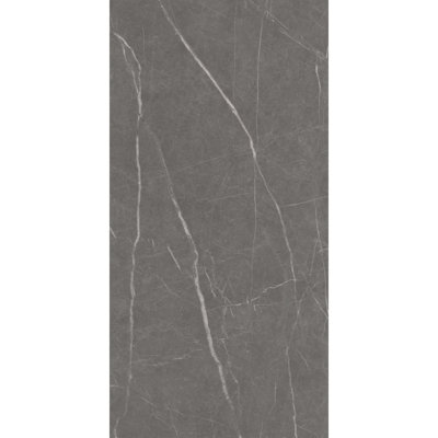 Societal 24" X 48" Porcelain Stone Look Tile
