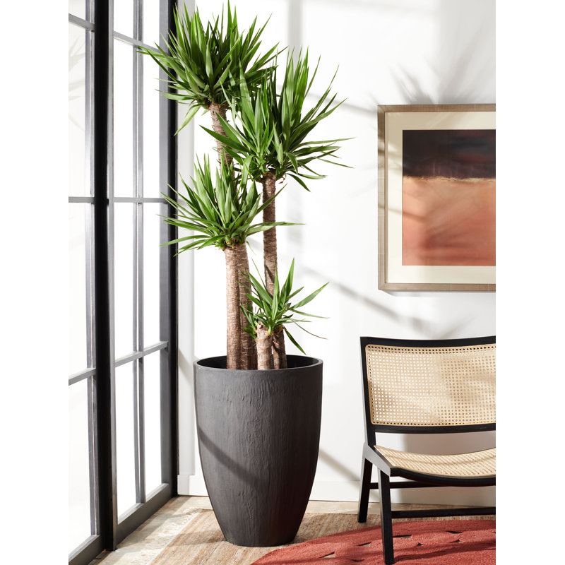 Pot à fleurs Anyae, H 28,3 po x l 20,4 po x P 20,4 po