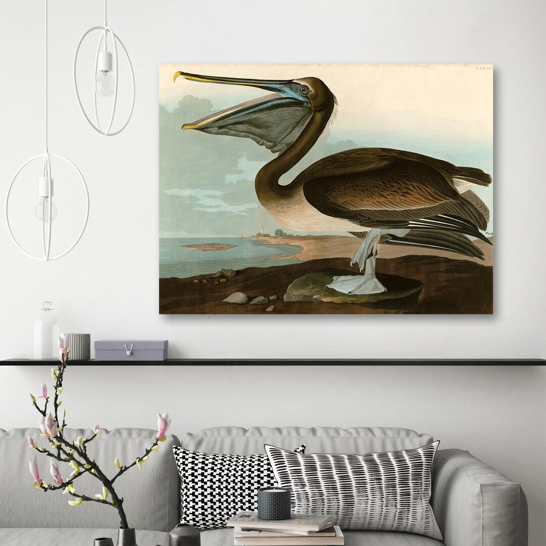 Leinwandbild Brown Pelican von John James Audubon