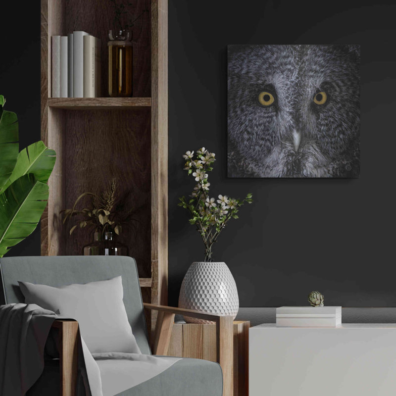 «Great Grey Owl» par Nathan Larson - reproduction de dessin non encadrée, H 24 po x l 24 po x P 0,13 po