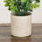 Artificial Baby Blue Eucalyptus in Decorative Planter