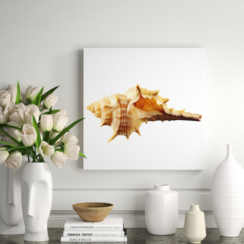 Sea Shell Horn Print, 24" H x 24" W x 2.5" D, Aluminum