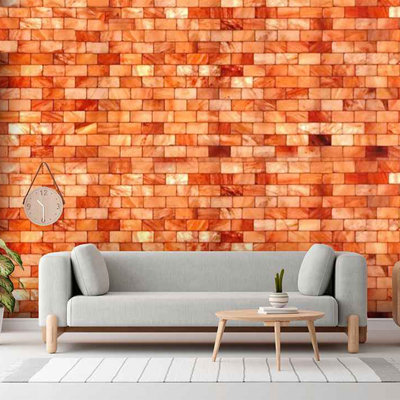 Salt Bricks – 8" X 4" X 1" Natural Salt Tiles For Pink Salt Walls, Spa & Sauna Pack Of 200