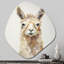 Furry Llama Portrait III - art mural asymétrique en forme de nébuleuse du lama-1100832812