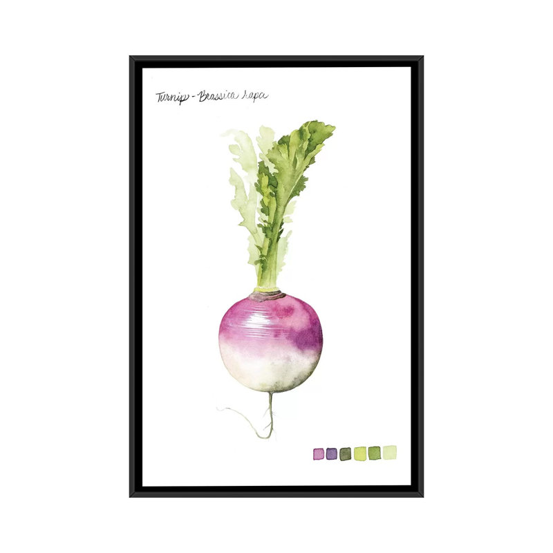 «Root Légume VI», impression sur toile, H 26 po x l 18 po x P 1,5 po, Toile avec cadre noir, Pas de tapis