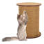 Affiche de chat en sisal