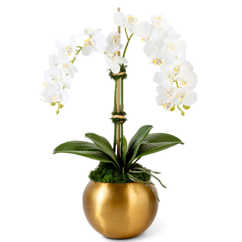 Adeline Gold Realtouch Orchid, Double Orchid