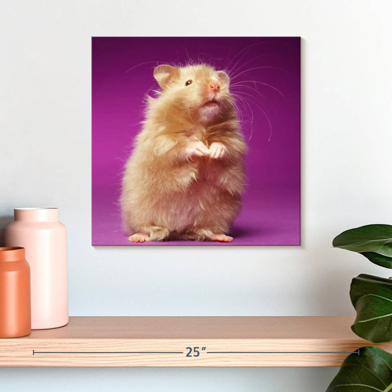 Ketti Fluffy Hamster, 16" H x 16" W