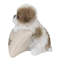 Shih Tzu avec statue de bienvenue