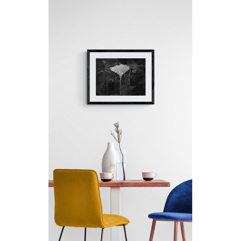 Ginkgo par Scott Norris, 16" H x 20" W