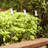 Low Voltage Solar Powered LED Pathway Light Pack