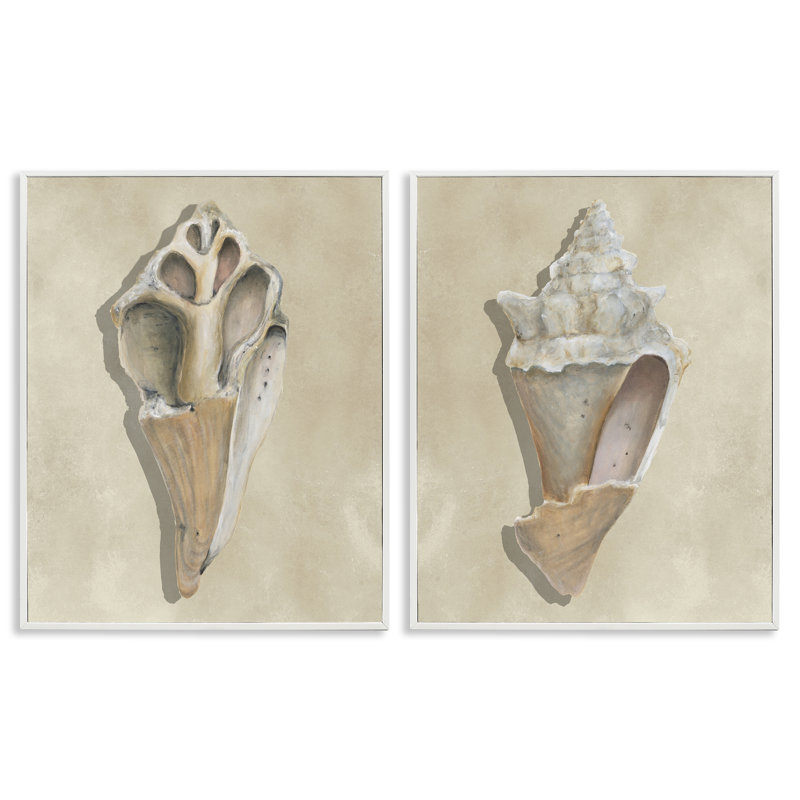 «Broken Beach Shells», ensemble de 2 giclées par Michael Willett, H 14 po x l 11 po