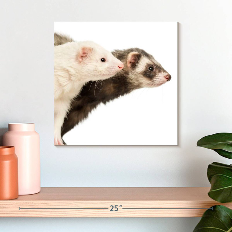 Crowle Two Curious Ferrets