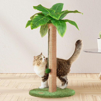 Denasia Scratching Post