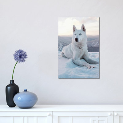 Snow Dog I by Nikita Abakumov - Wrapped Canvas Print