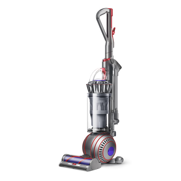 Aspiradora vertical Dyson Ball Animal 3 2