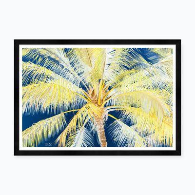 Tropical Palm In Yellow/Blue/White Print by Tim Klein