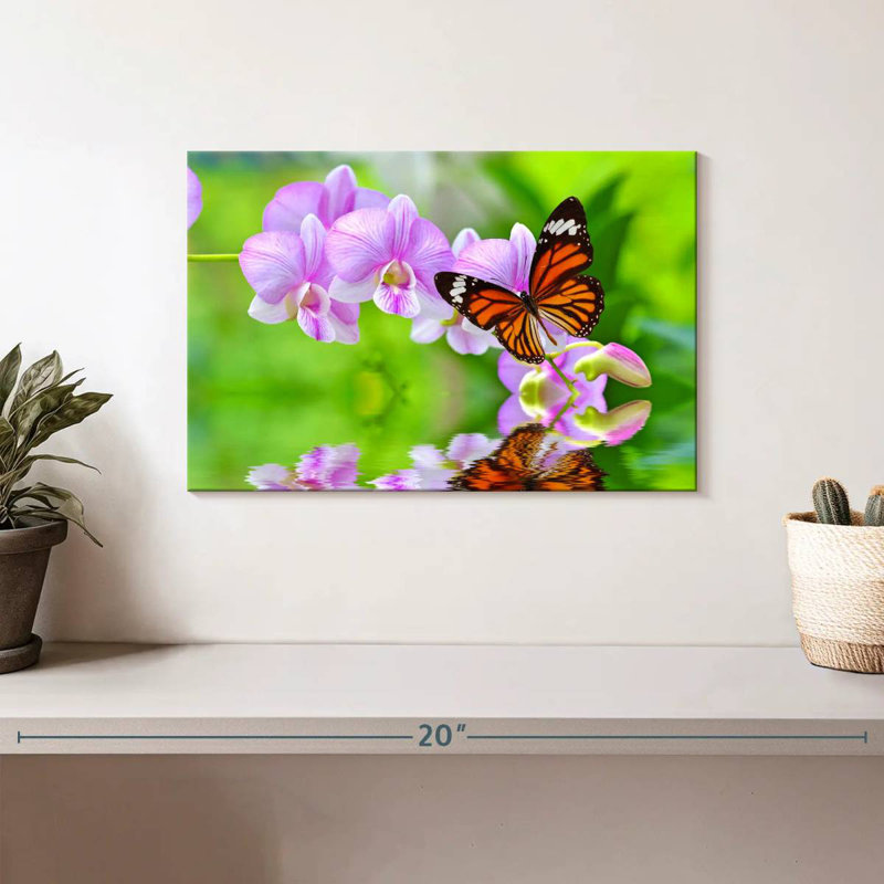 Papillon de printemps Brampt, H 8 po x l 12 po