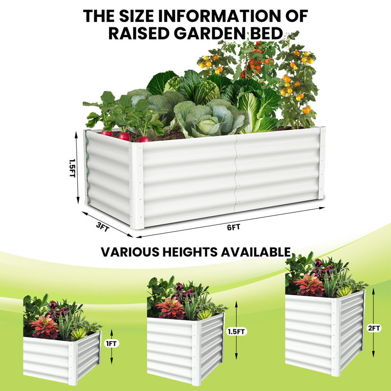 Upgraded-Quality Garden Planter Raised Bed with Open Base and Safe Edge, Outdoor Planter Box for Vegetables, Flowers and Plants, 6*3