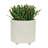 S/2 6/8" Textured Planters-1146462382