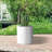 Ilfrod Pot Planter-1281304171-1281304160