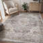 Tapis oriental gris doux lavable à la machine pour le salon, la chambre à coucher-87614169-68077952