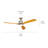 Ridley 60'' Ceiling Fan with LED Lights-82941944