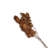 Bougon Branch 4Pc Paper Poly