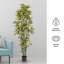 Bambou artificiel - plante artificielle de 6 pi avec feuilles réglables et pot - plantes artificielles pour la maison, le restaurant ou le bureau