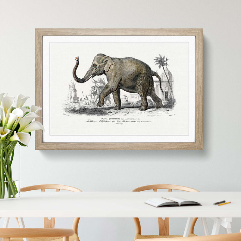Asian Elephant by Charles D' Orbigny - Single Picture Frame Painting, 24cm H x 33cm W x 2cm D, Oak