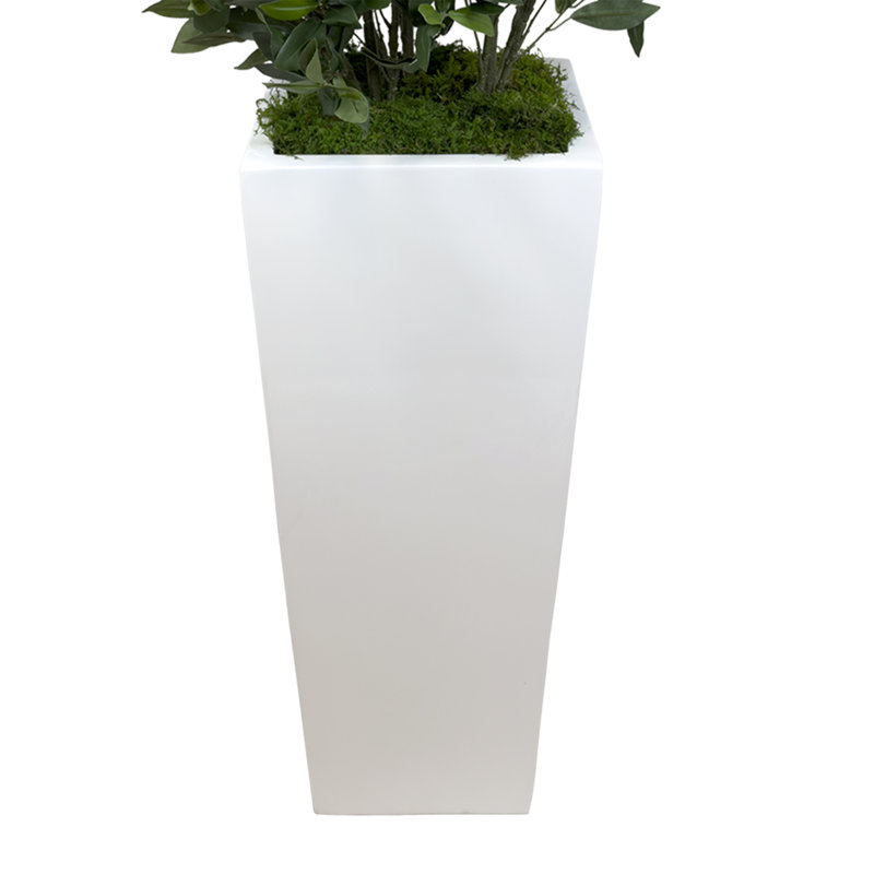 Olive Tree Artificial in Fiberstone Planter