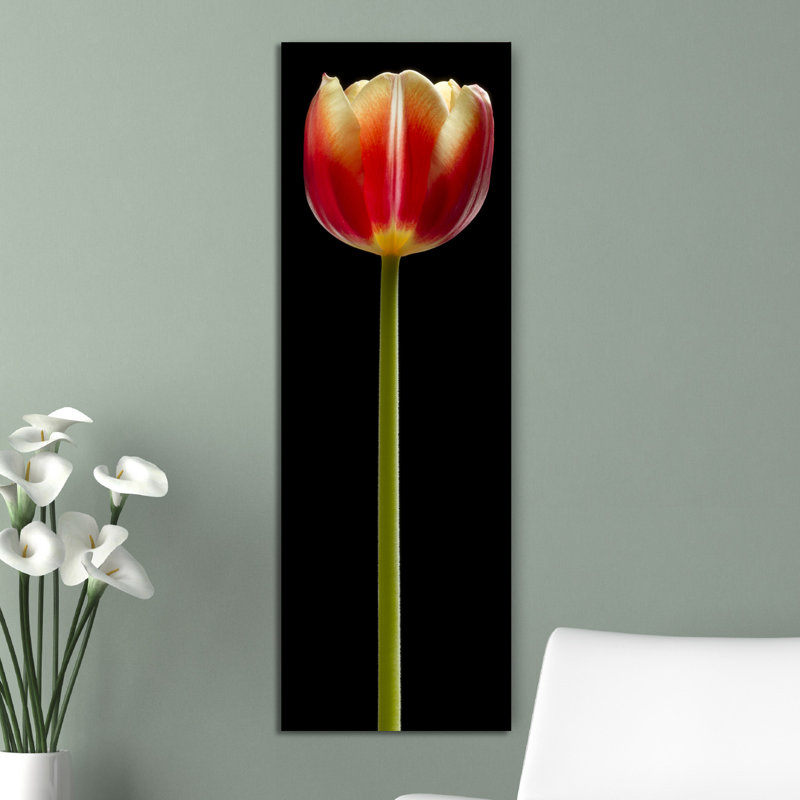 Tall Orange Tulip 1 Piece Wrapped Canvas Panoramic Wall Art, 121.92cm H x 40.64cm W x 4cm D
