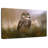 Brampt Owl Be Seeing You-107853969