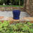 Pansy Ceramic Pot Planter-88134232