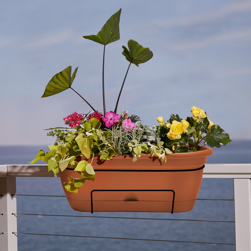 Lucca Self-Watering Plastic Indoor/Outdoor Oval Balcony Box Planter with Metal Hanging Bracket, Terracotta
