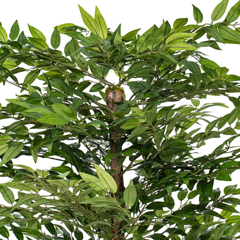Artificiel vert Smilax Series, H 48 po x l 30 po x P 30 po