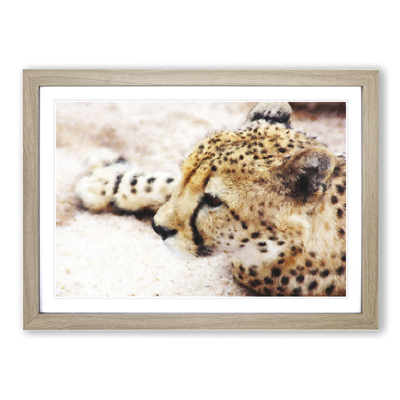Cheetah Vol.1 - Framed Print, 36cm H x 48cm W x 2cm D, Oak Framed