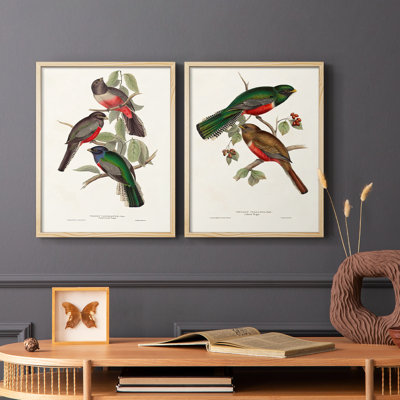 ElegantTrogonsV-Premium Framed Print -Ready to Hang - No Nails Required - No Nails Required