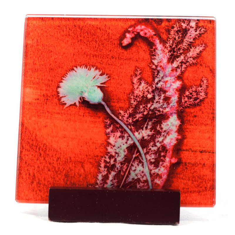 Glass Square 1 Piece Coaster, Red