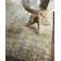 Koda Abstract Area Rug