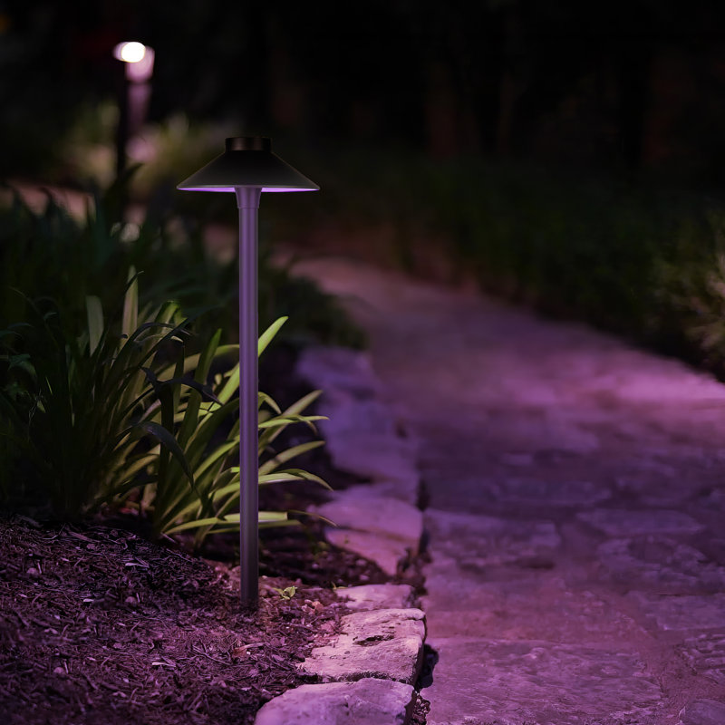 Colorscaping Low Voltage Integrated LED Aluminum Pathway Light, Solid Brass Coated/Bronze