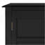 Armoire de rangement basse en bois noire Burlington