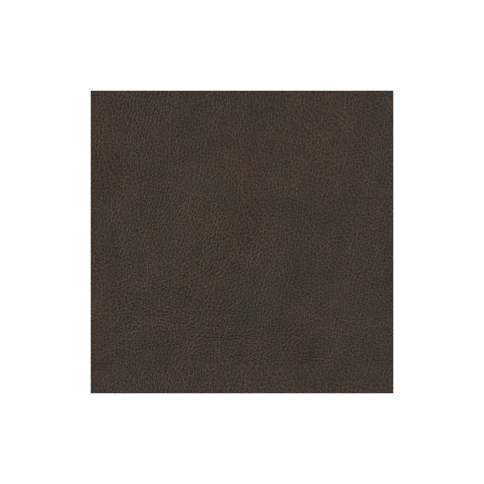 Fletcher Genuine Leather Down Cushion Armchair, Dark Brown Top Grain Leather